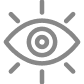 icon vision 1