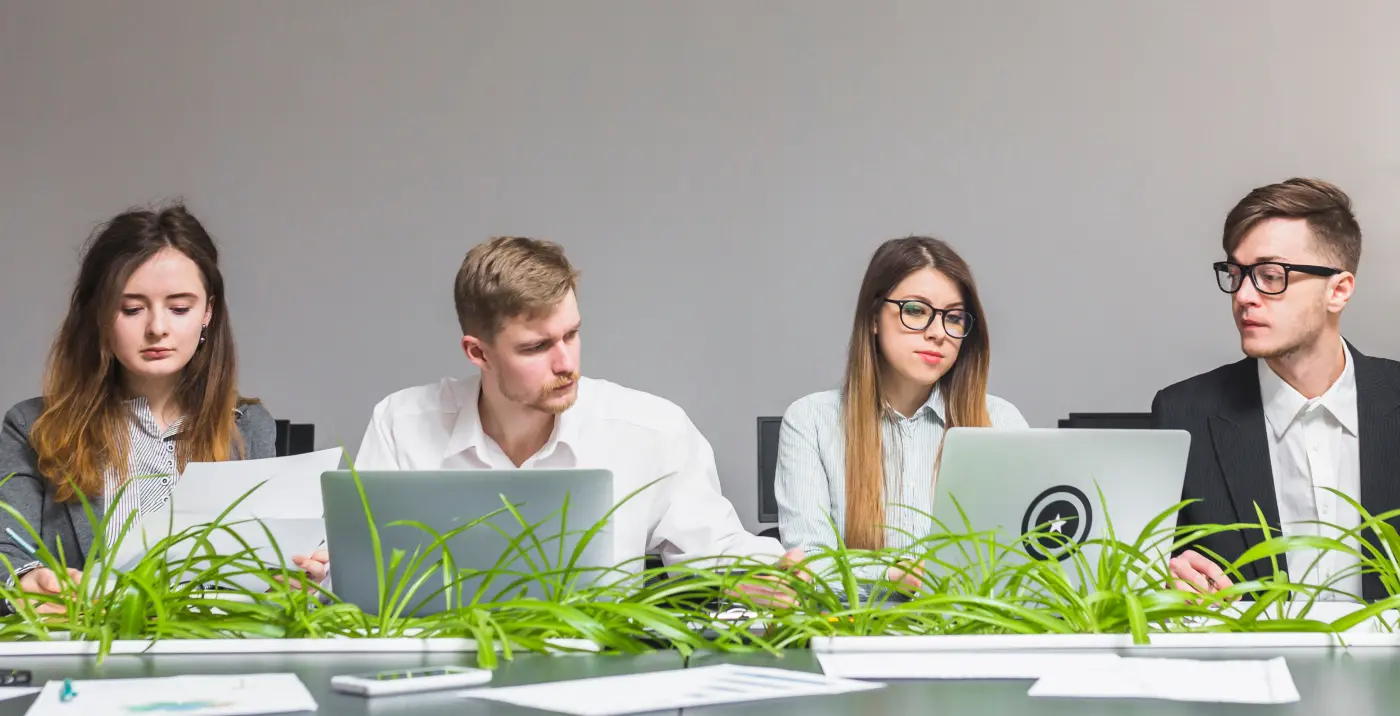 was ist saas entwicklung