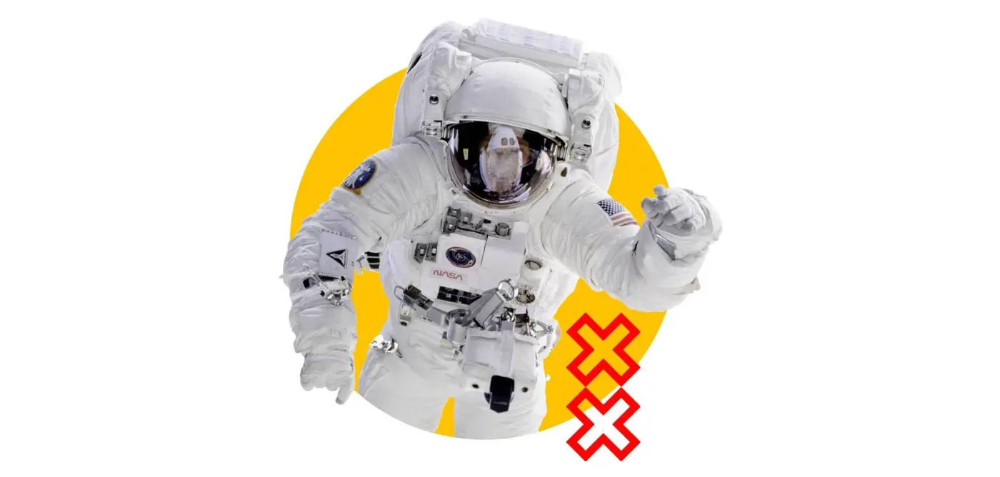 necom Agentur für Wordpress