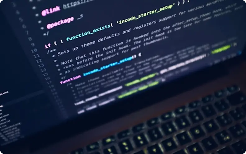 Software-Entwicklung